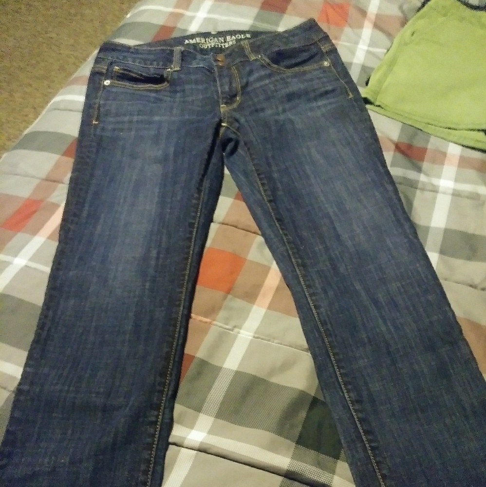 American Eagle outfitters Artist Crop Stretch Capr